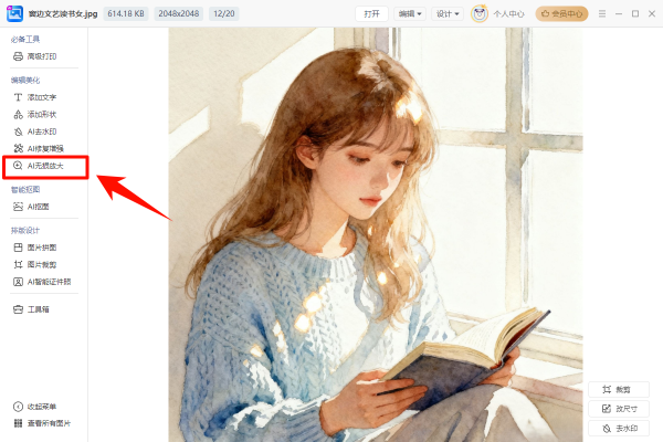 金舟AI看圖編輯王 V2.0.5 官方安裝版