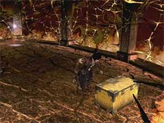 鬼武者2特典幻梦空间第四层宝箱如何解锁?特典幻梦空间第四层宝箱解锁玩法攻略