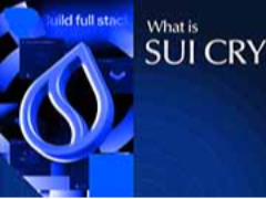 什么是Sui（SUI）加密貨幣？2026年SUI生態(tài)系統(tǒng)全面指南