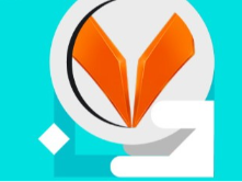 什么是ViFoxCoin？ VFX代幣經(jīng)濟學(xué)及項目概述