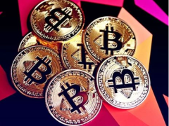 2025-2026数据揭示:比特币为何未能成为数字黄金?