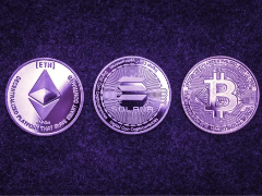 XRP币 Algorand币:哪个才是2026年更好的加密货币投资选择?