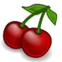cherrytree(富文本编辑器) v1.6.3 多语言安装版(测试版)