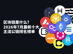 区块链是什么?2026年7月最新十大主流公链排名榜单解析