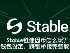 Stable鏈迷因幣怎么玩？錢(qián)包設(shè)定、跨鏈橋接完整教學(xué)