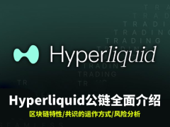 Hyperliquid公鏈全面介紹:為去中心化交易而生的高效率公鏈