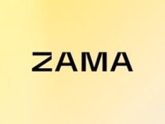 ZAMA本轮价格暴涨拆解:全同态加密赛道为何迎来高光时刻