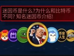 迷因币是什么?为什么和比特币不同?知名迷因币介绍
