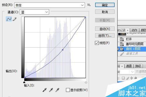 PS調(diào)整圖層將照片調(diào)出夜色效果