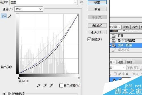PS調(diào)整圖層將照片調(diào)出夜色效果