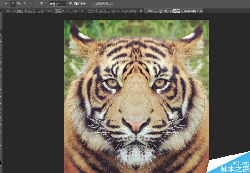 Photoshop將老虎頭像和人臉完美融合在一起的效果圖