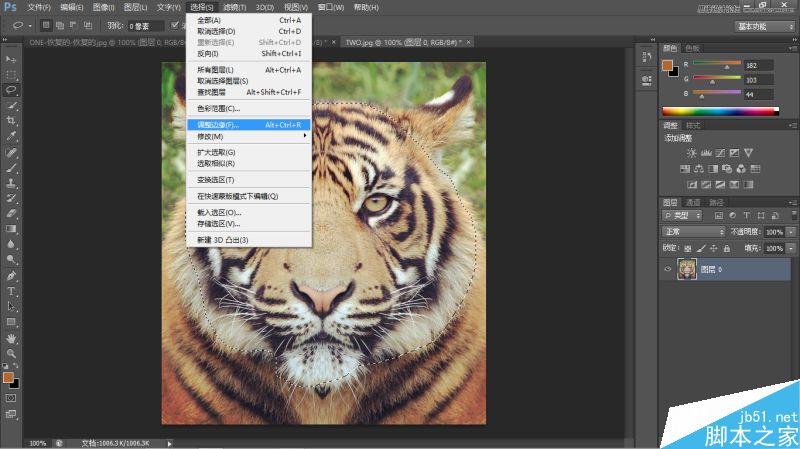 Photoshop將老虎頭像和人臉完美融合在一起的效果圖