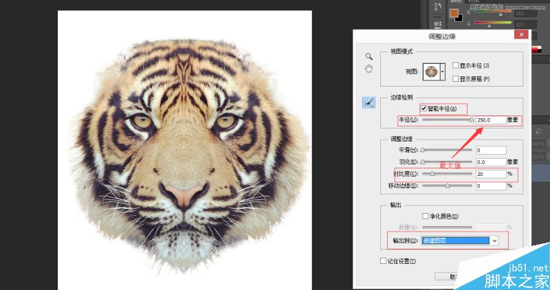 Photoshop將老虎頭像和人臉完美融合在一起的效果圖