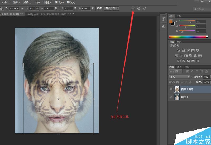 Photoshop將老虎頭像和人臉完美融合在一起的效果圖