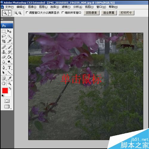 PS改變圖像顯示大小的3種方法