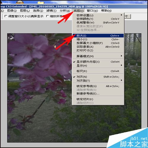 PS改變圖像顯示大小的3種方法