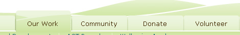 thewellspringfoundation