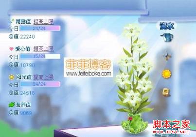 QQ空間花藤應(yīng)用的澆花操作