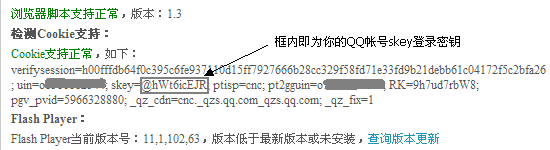 在Cookie檢測結果中找到skey碼
