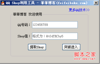 輸入QQ號(hào)碼和skey破解即可
