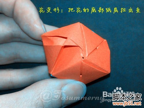 魔術玫瑰折紙實拍教程