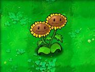 植物大战僵尸 双子向日葵 详细介绍 _单机游戏_游戏攻略_-六神源码网