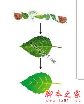 CorelDRAW解析網(wǎng)狀填充運用教程,CDR教程