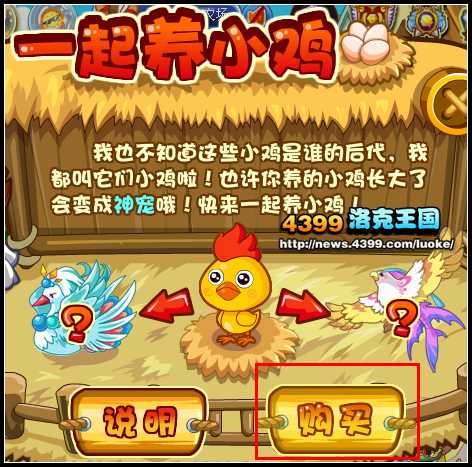 洛克王国一起养小鸡