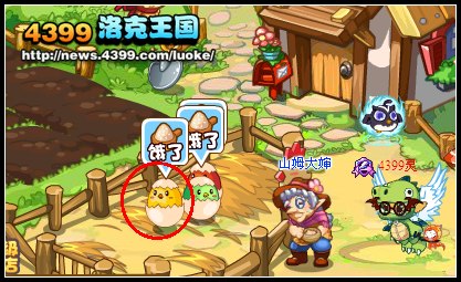 洛克王国一起养小鸡