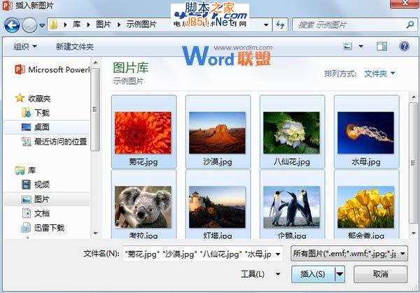 如何批量將圖片快速導(dǎo)入到PowerPoint2013中