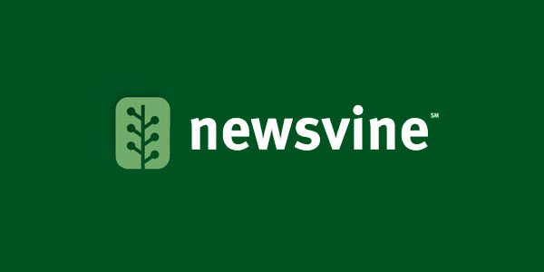 newsvine logo