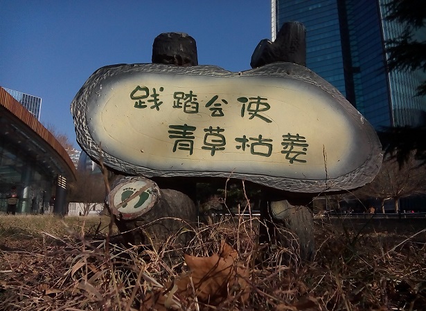 圖為榮耀3X戶外拍照樣張圖片
