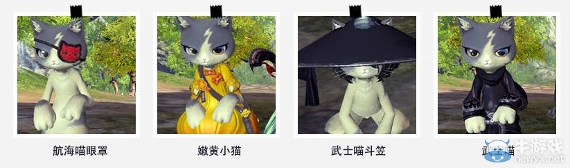 《剑灵》猫咪时尚季活动 CAT猫咪宠物大变装