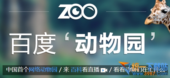 百度动物园直播