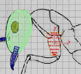 深入了解3DMAX建模技術(shù)--螞蟻實(shí)例（下）