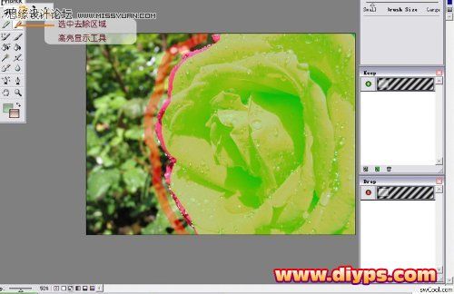 Photoshop摳圖教程：插件Mask pro 4.11摳圖使用介紹（圖文）