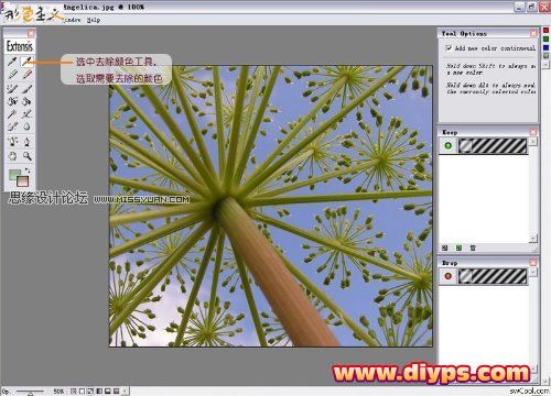 Photoshop摳圖教程：插件Mask pro 4.11摳圖使用介紹（圖文）