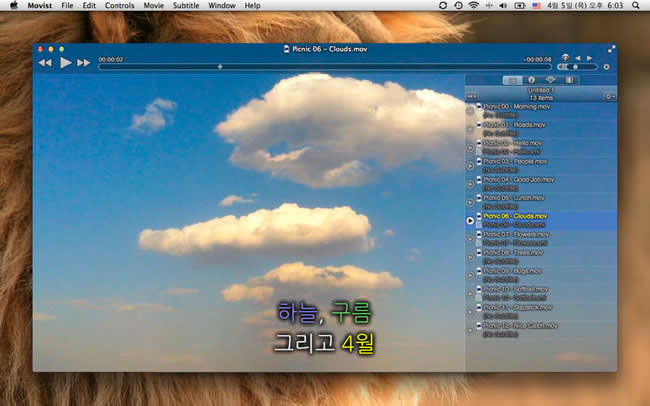 Movist Pro for Mac v2.11.4中文汉化版 苹果电脑版