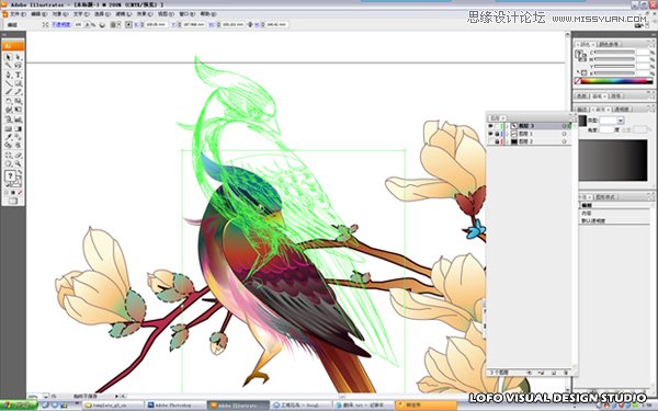 Illustrator繪制矢量風格的中國花鳥畫,破洛洛