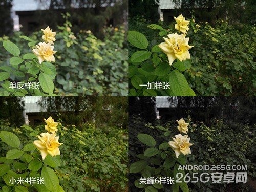 一加/小米手機(jī)4/榮耀6非全面對(duì)比評(píng)測(cè)