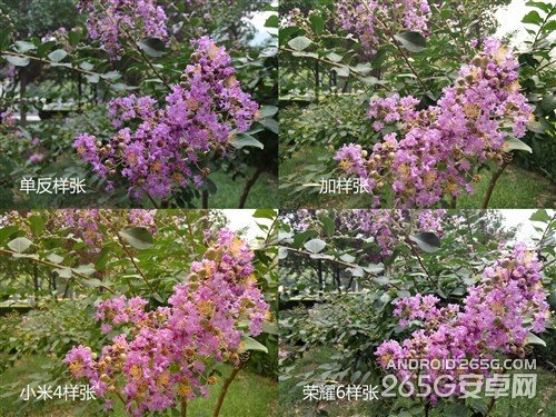 一加/小米手機(jī)4/榮耀6非全面對(duì)比評(píng)測(cè)