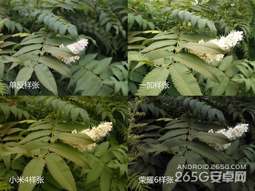 一加/小米手機(jī)4/榮耀6非全面對(duì)比評(píng)測(cè)