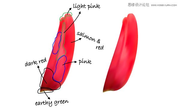 Illustrator繪制時(shí)尚唯美的玫瑰花和花屏,PS教程,思緣教程網(wǎng)