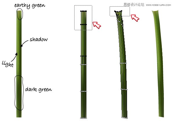 Illustrator繪制時(shí)尚唯美的玫瑰花和花屏,PS教程,思緣教程網(wǎng)