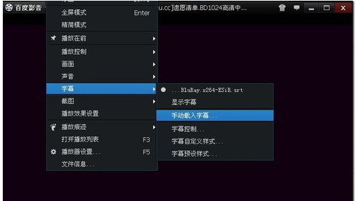手動載入字幕