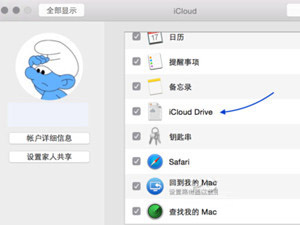 蘋果iCloud Drive怎么用 iCloud Drive使用教程