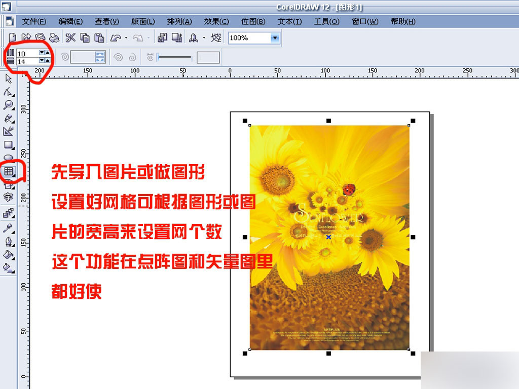cdr任意拆分图片或矢量图形  cdr使用技巧