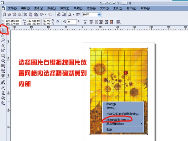 cdr任意拆分图片或矢量图形  cdr使用技巧