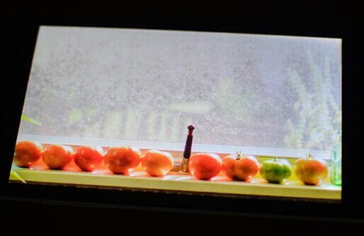 大神f1plus
