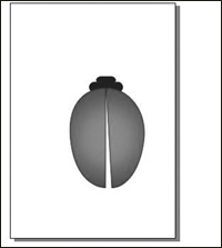 coreldraw绘制七星瓢虫  CorelDraw使用技巧教程